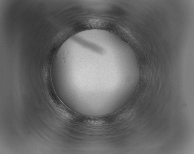 X0000074030645200609061143