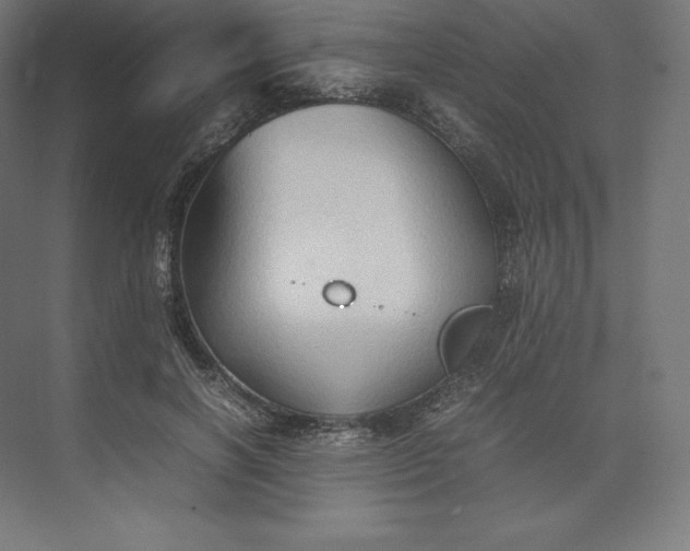 X0000074030646200609061143