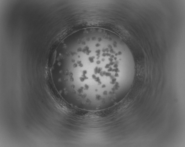 X0000074030648200609061143