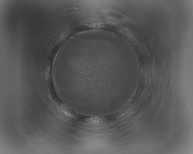 X0000074030652200609061143