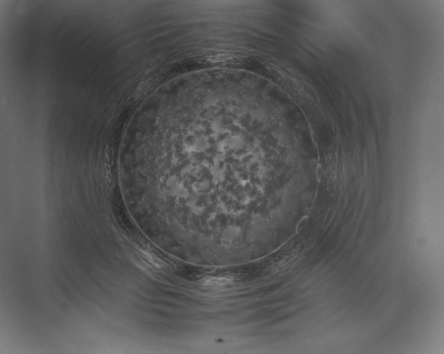 X0000074030653200609061143