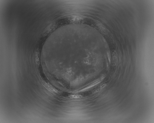 X0000074030654200609061143