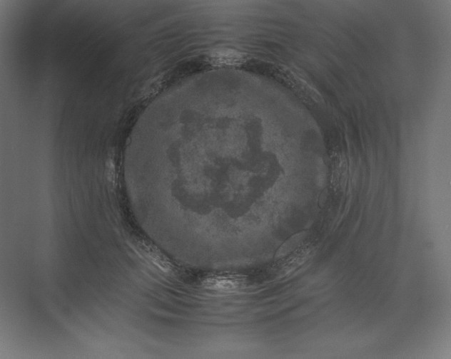 X0000074030655200609061143