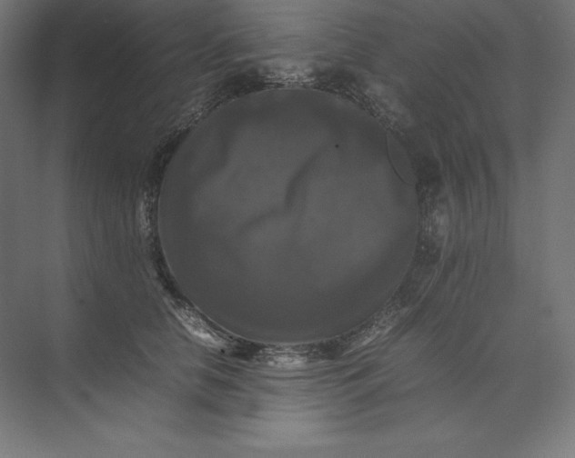 X0000074030658200609061143