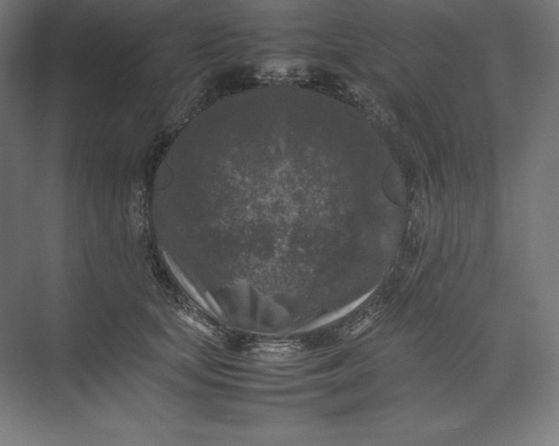 X0000074030659200609061143