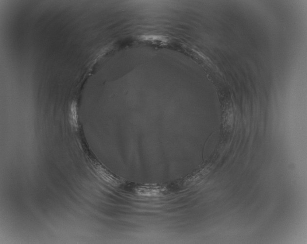 X0000074030661200609061143