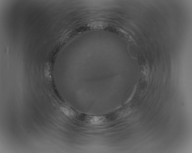 X0000074030663200609061143