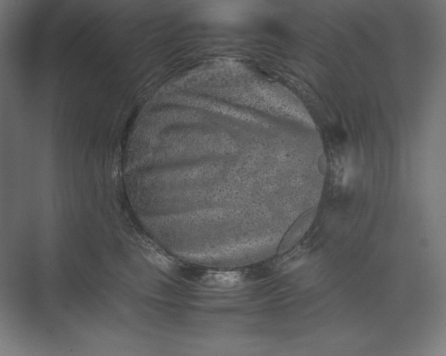 X0000074030665200609061143