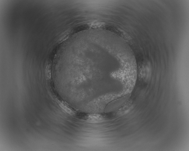 X0000074030666200609061143