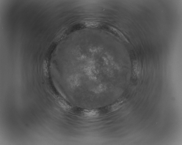 X0000074030667200609061143