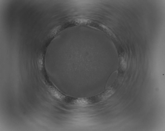 X0000074030668200609061143