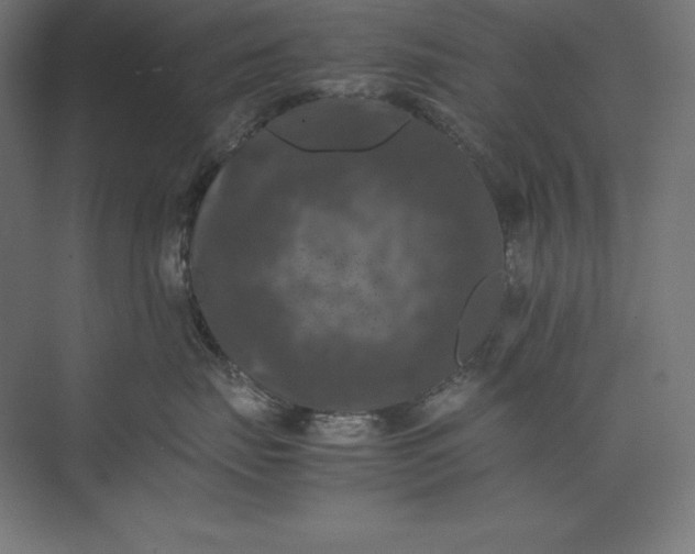 X0000074030671200609061143