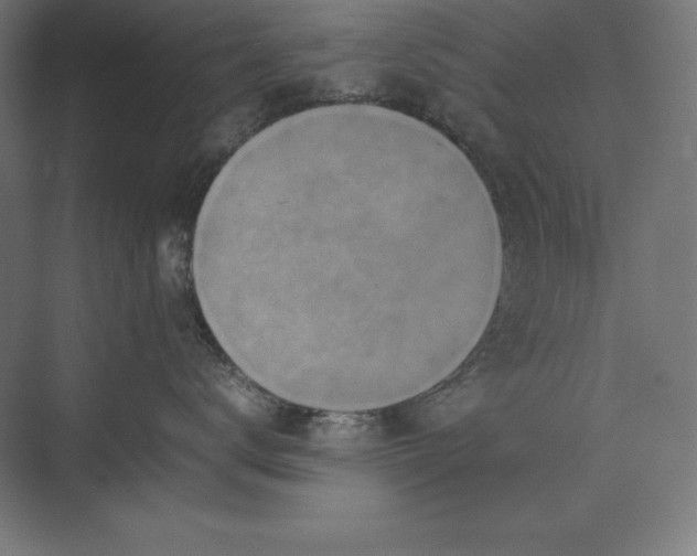 X0000074030672200609061143