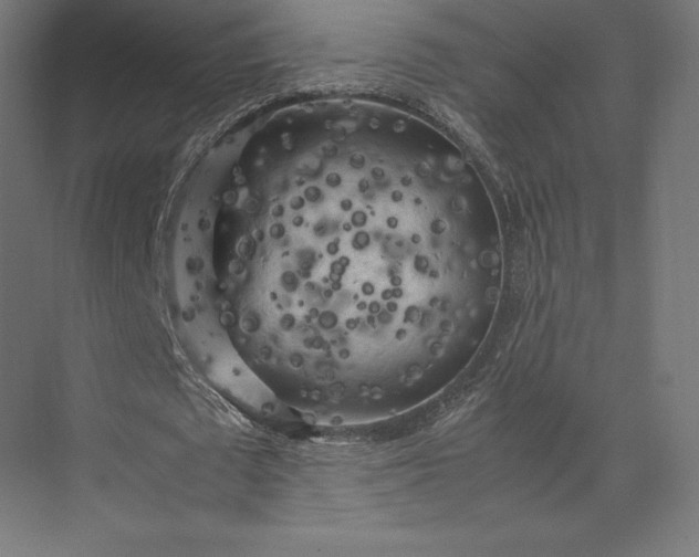 X0000074030673200609061142