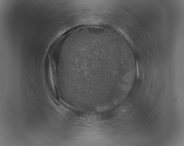 X0000074030675200609061142