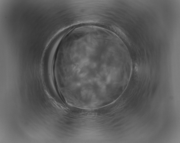 X0000074030676200609061142