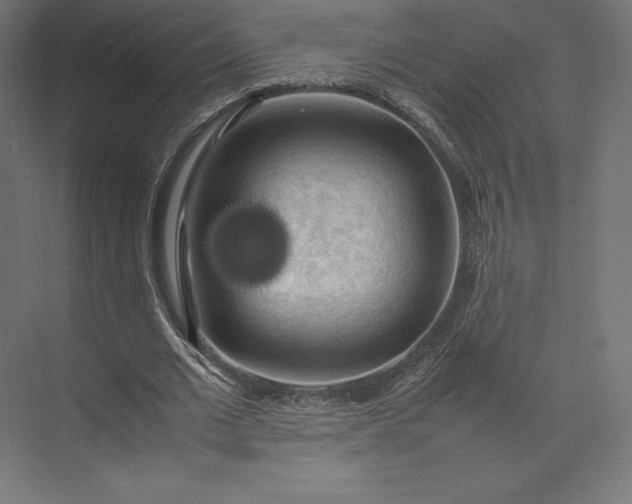 X0000074030677200609061142