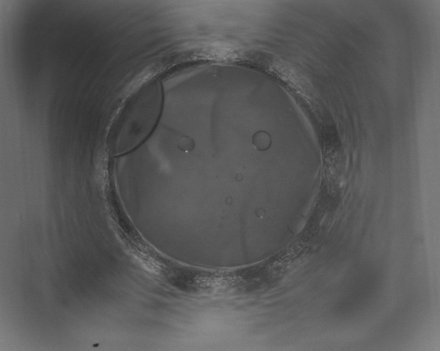 X0000074030679200609061142