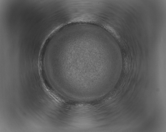 X0000074030680200609061142