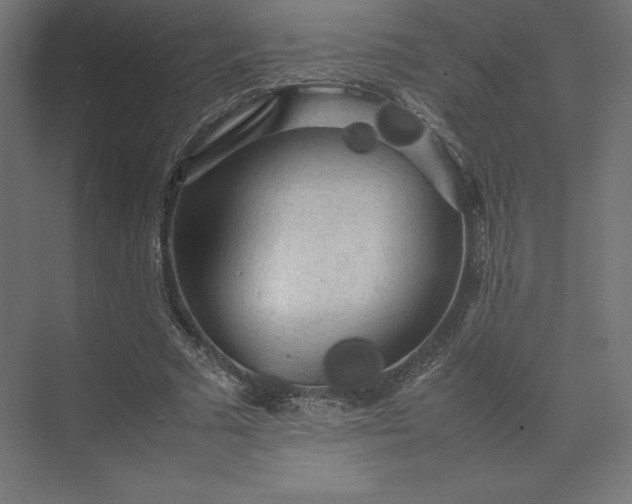 X0000074030681200609061142