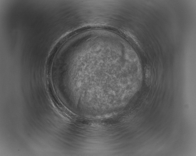 X0000074030684200609061142