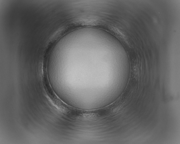 X0000074030686200609061142