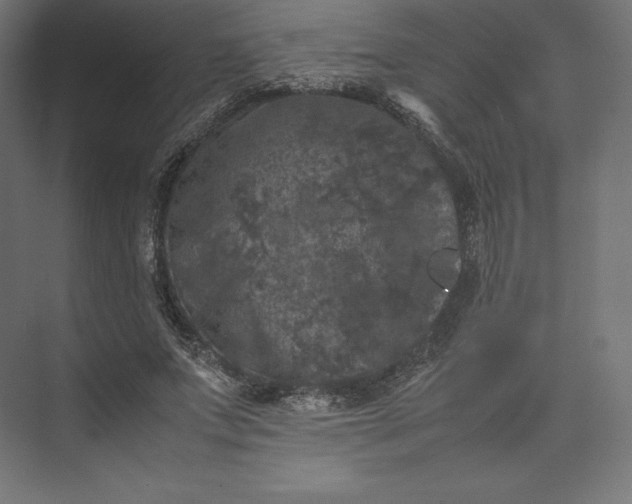 X0000074030687200609061142