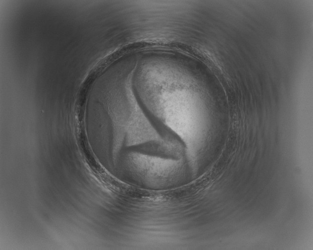 X0000074030688200609061142