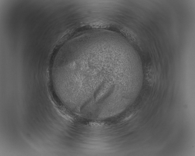 X0000074030690200609061142