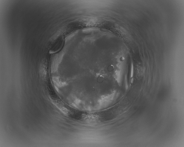 X0000074030691200609061142