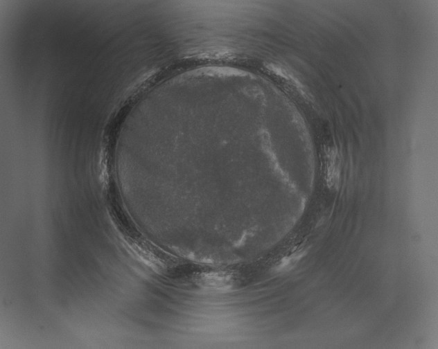 X0000074030692200609061142