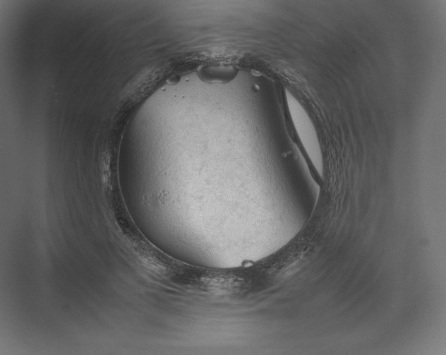 X0000074030693200609061142