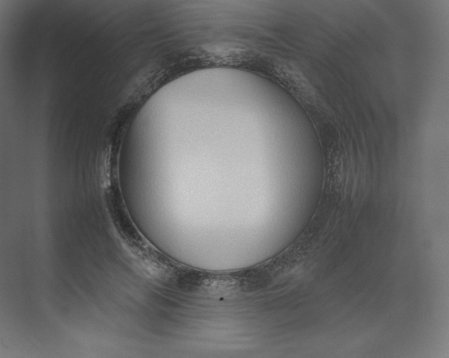 X0000074030694200609061142