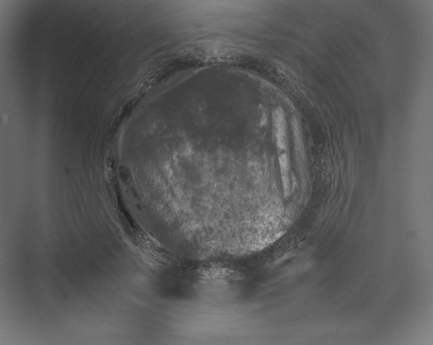 X0000074030695200609061142