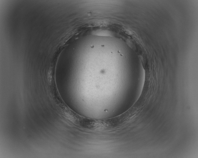 X0000074030697200609061142