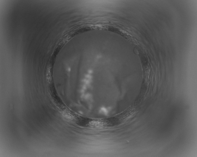 X0000074030699200609061142