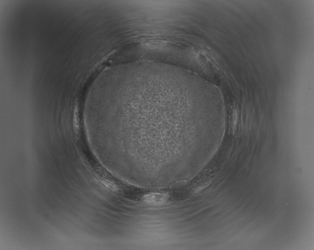 X0000074030700200609061142