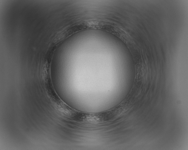 X0000074030702200609061142