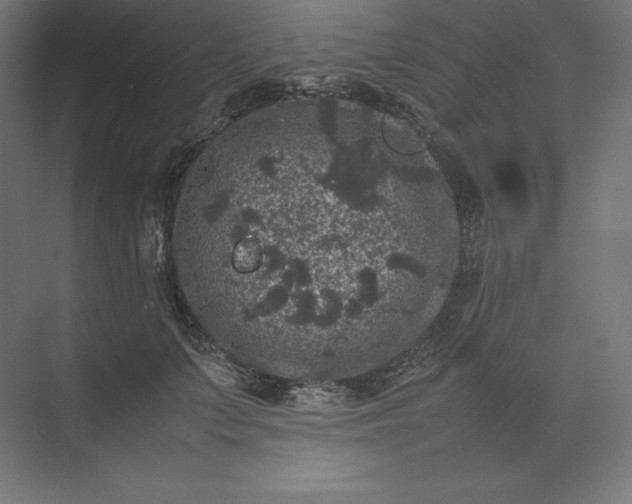 X0000074030703200609061142