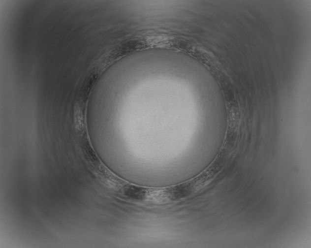 X0000074030705200609061142