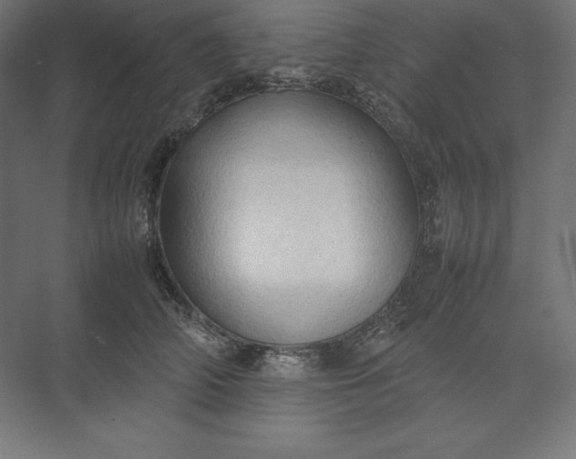 X0000074030706200609061142