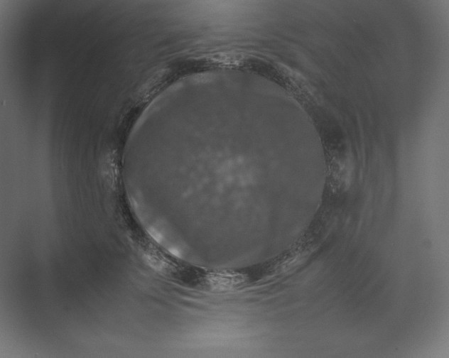 X0000074030707200609061142