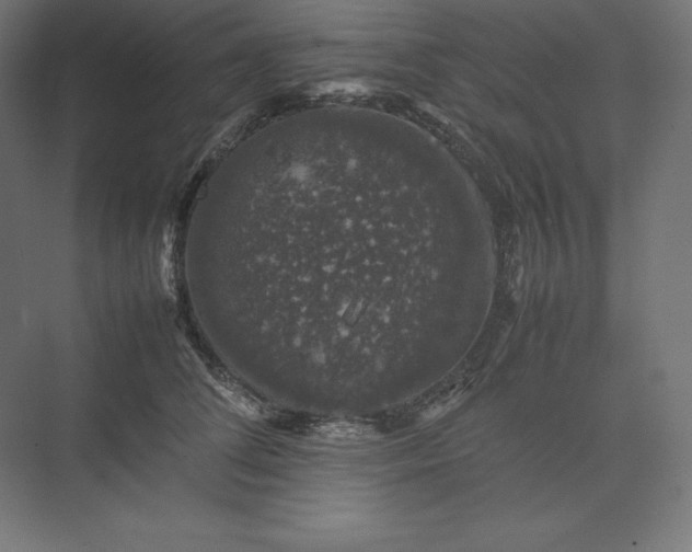 X0000074030708200609061142