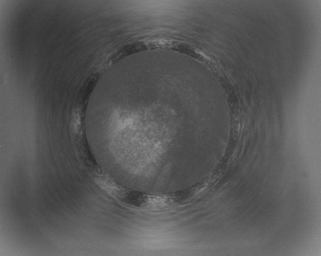 X0000074030709200609061142