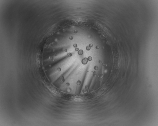 X0000074030710200609061142