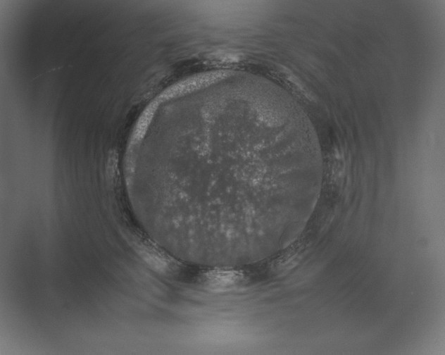 X0000074030711200609061142