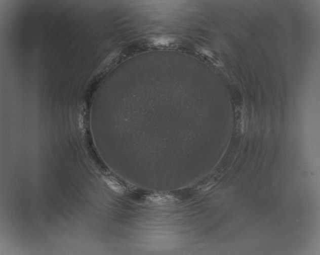 X0000074030712200609061142