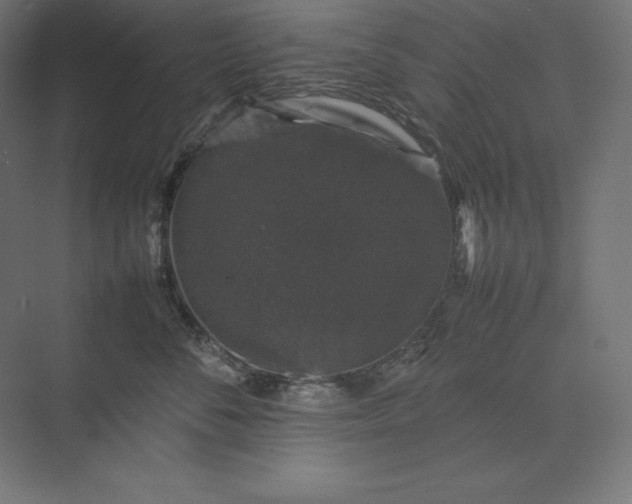 X0000074030716200609061142