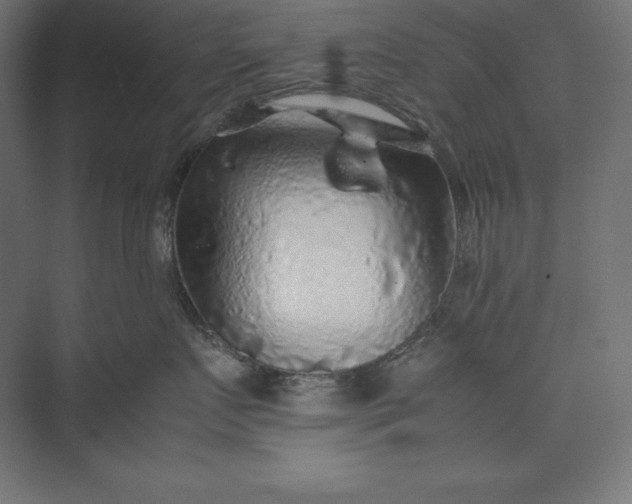 X0000074030719200609061141