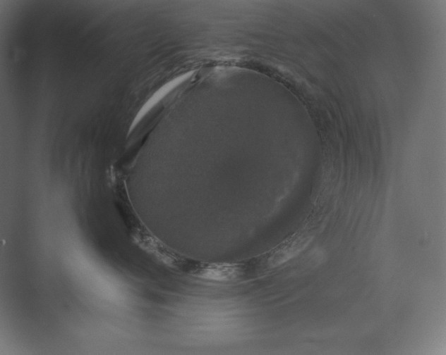 X0000074030720200609061141